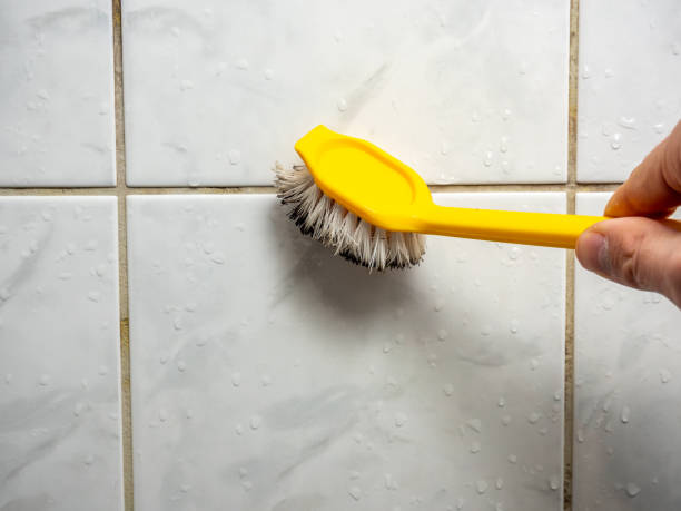 Professional Mold Removal in Verona, PA