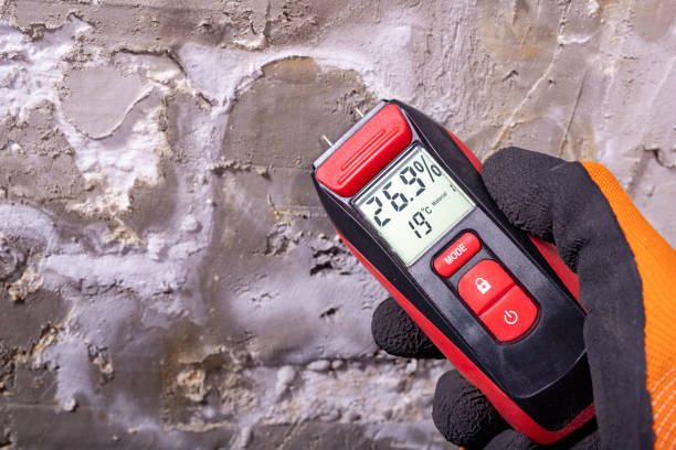 Best Office Mold Removal Services  in Verona, PA